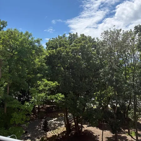 Apartment Park View